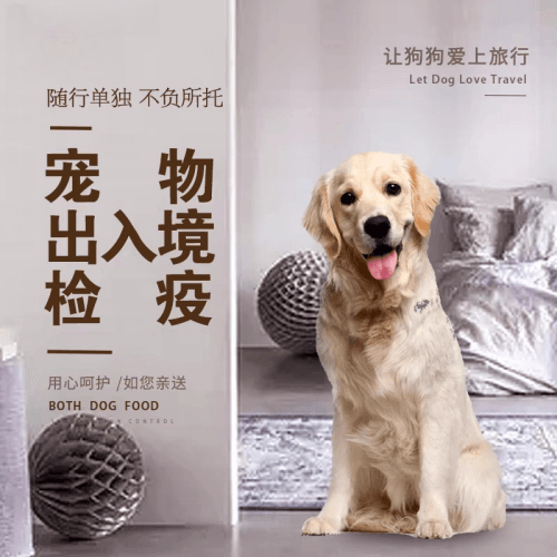 随州市宠物托运到哥伦比亚猫狗宠物入境规定和