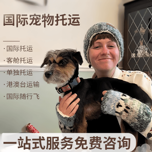 随州市国际宠物托运到阿根廷宠物入境规定和要
