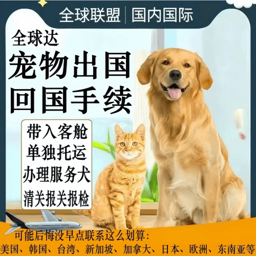 随州市宠物托运到柬埔寨宠物入境规定和要求
