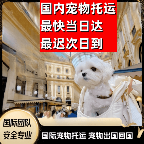 随州市到澳大利亚（澳洲）宠物入境规定和要求