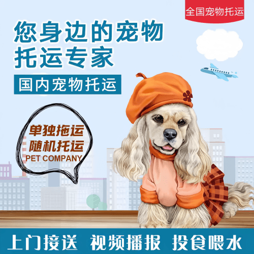 满财随州市宠物全球达宠物托运作为专业的宠物运输代理机构